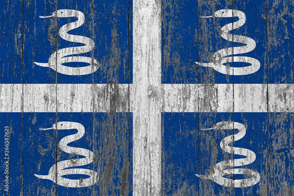 Flag of Martinique painted on worn out wooden texture background. Flag of Martinique painted on worn out wooden texture background.
