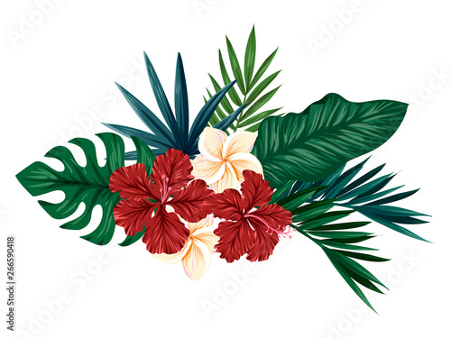 Hand drawn botanical illustration with hibiscus and frangipani flowers and tropical leaves, vector