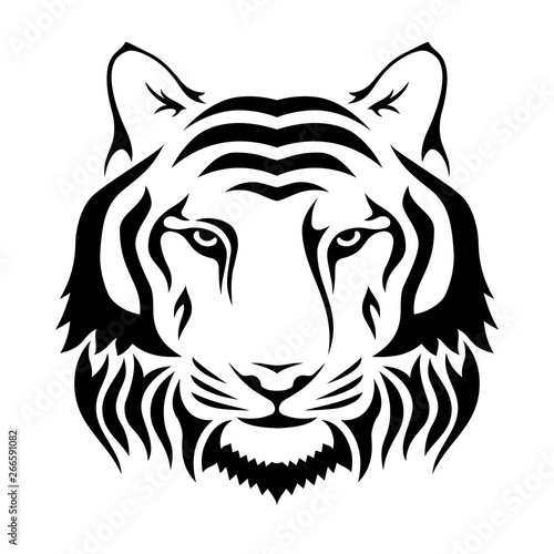 Muzzle of a tiger isolated ...