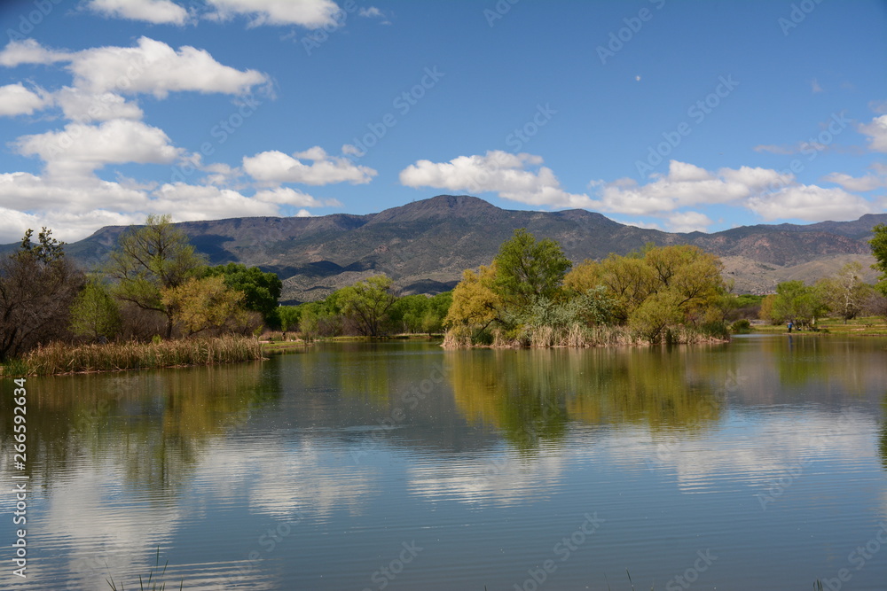 Reflections in Arizona