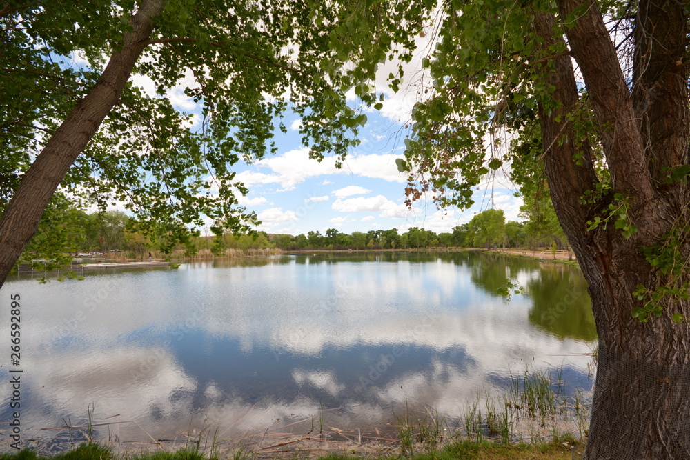 Reflections in Arizona