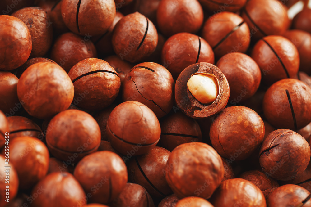 Macadamia nuts in large quantities in bulk in the form of the texture of fresh natural fruit shelled one nut in the frame close-up view Macadamia nuts in large quantities in bulk in the form of the texture of fresh natural fruit shelled one nut in the frame close-up view