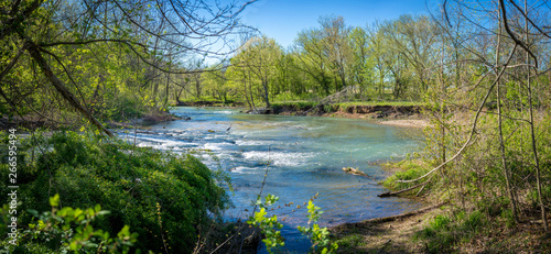 Panoramic view of Heron bird phishing  river in the forest  Lake Park Bella Vista City in Northwest Arkansas  crystal clear water creek