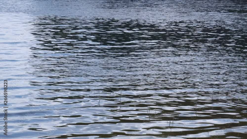 calm blue water of the river, lake. calm blue water of the river, lake.