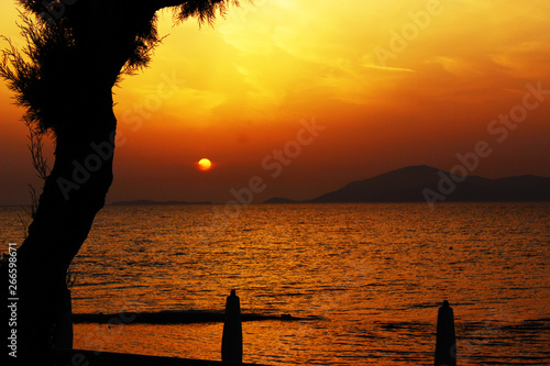 Amazing summer sunset taken through trees on the greek island Kos photo