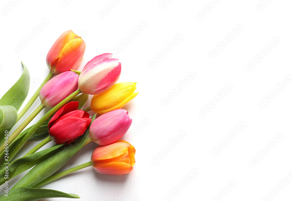 Beautiful spring tulip flowers on white background, top view Beautiful spring tulip flowers on white background, top view