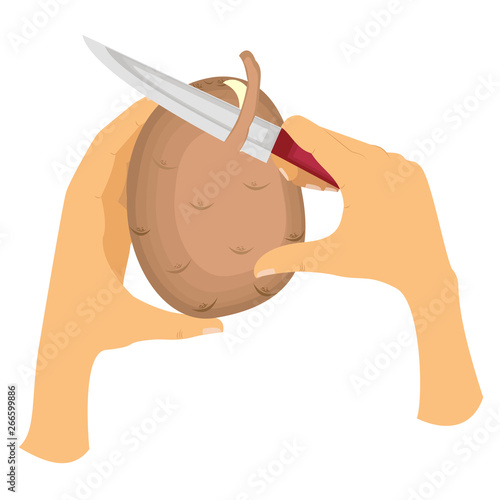 Picture how to peel potatoes from the peel. The left hand holds potatoes, the right hand holds the knife and gently cuts the skin. Vector illustration.