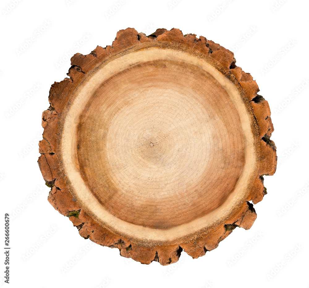 Smooth wood slice cut from the woods. Neutral brown sustainable tree rings made of hardwood. Smooth wood slice cut from the woods. Neutral brown sustainable tree rings made of hardwood.