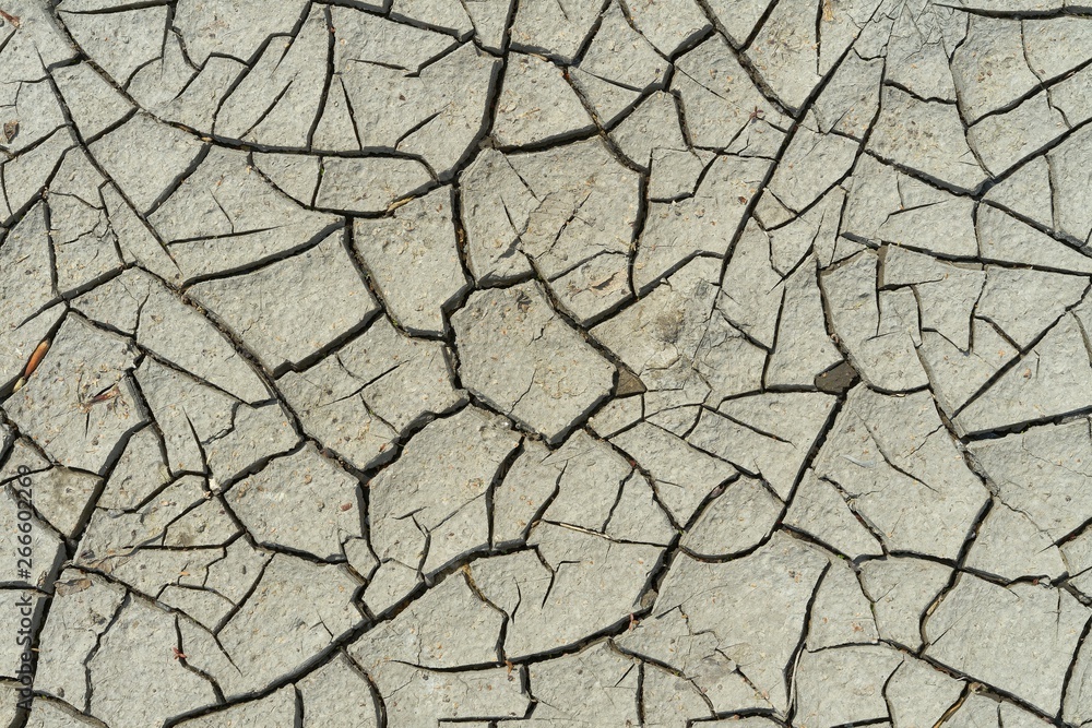 Fototapeta premium Abstract background. Cracked and dried ground.