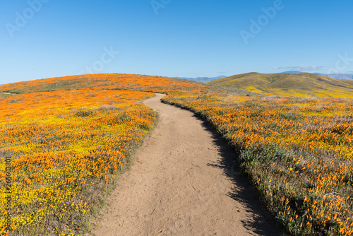 Path through rolling hills ...