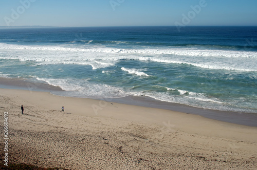 Marina State Beach
