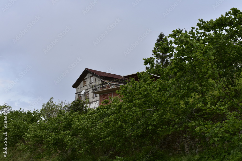 Fototapeta premium old wooden house in the forest