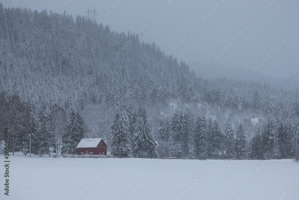 Wintertime and snowy forest with wooden houses.
