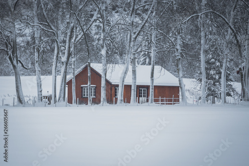 Wintertime and snowy forest with wooden houses. photo