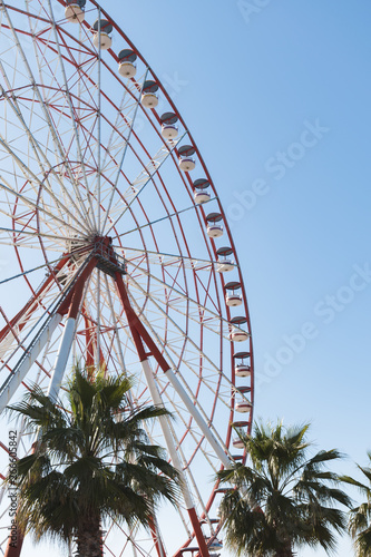 Side view on a ferris wheel against blue sky with green palm trees beneath. Tourist attraction, sightseeing in Batumi, Georgia.