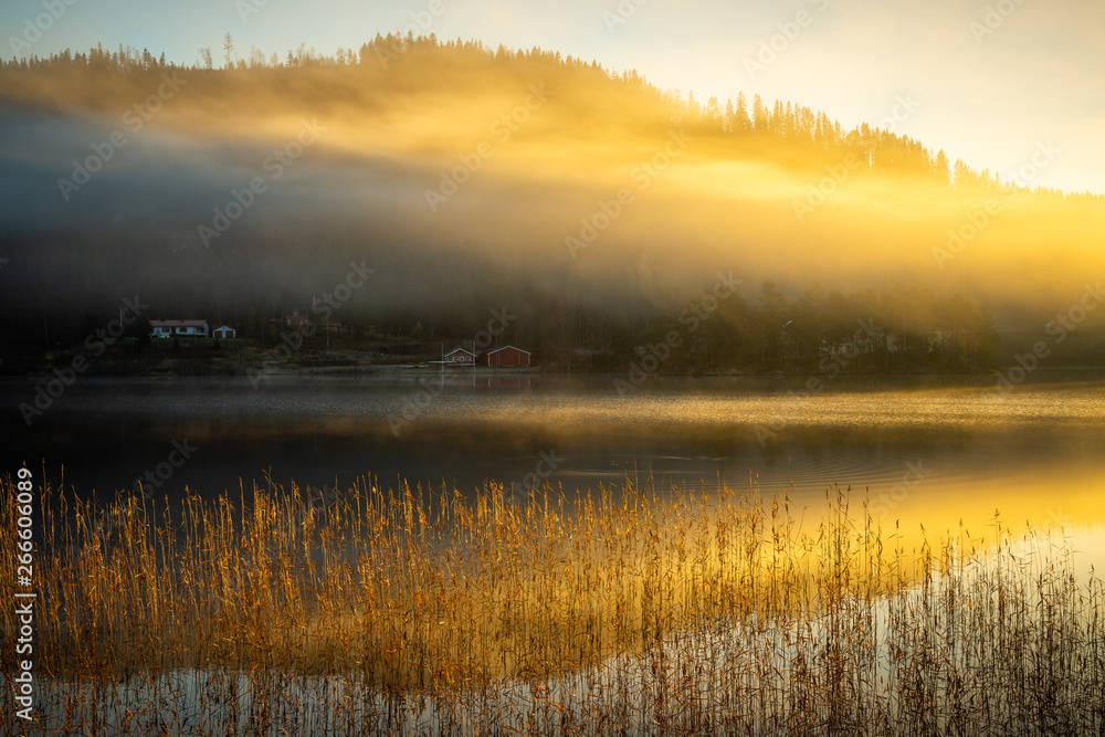 Foggy autumnal surise at Jonsvatnet, Norway