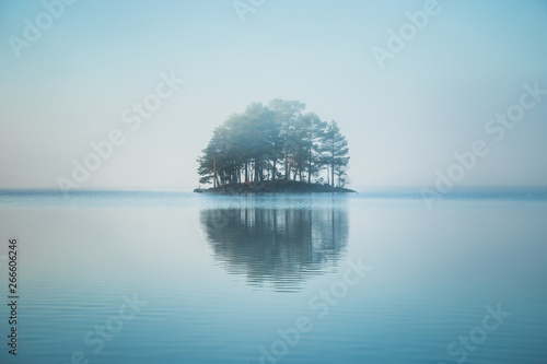 Tiny island covered by forest on the lake. © Adrian