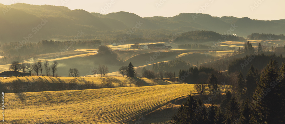 Rural landscape with fog and sunrise light - obrazy, fototapety, plakaty 