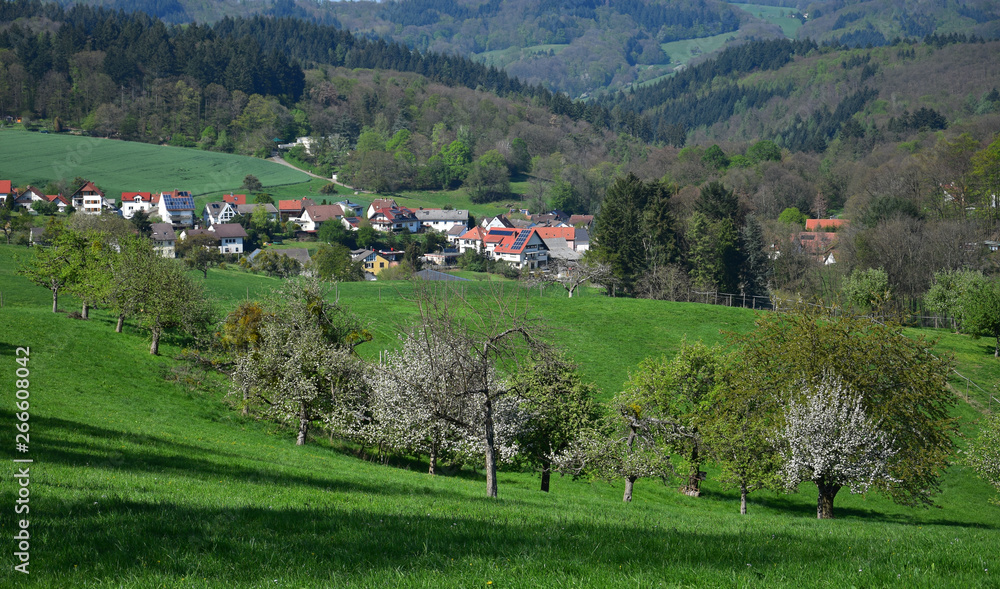 The small town Oberflockenbach in spring in the Odenwald, Germany.