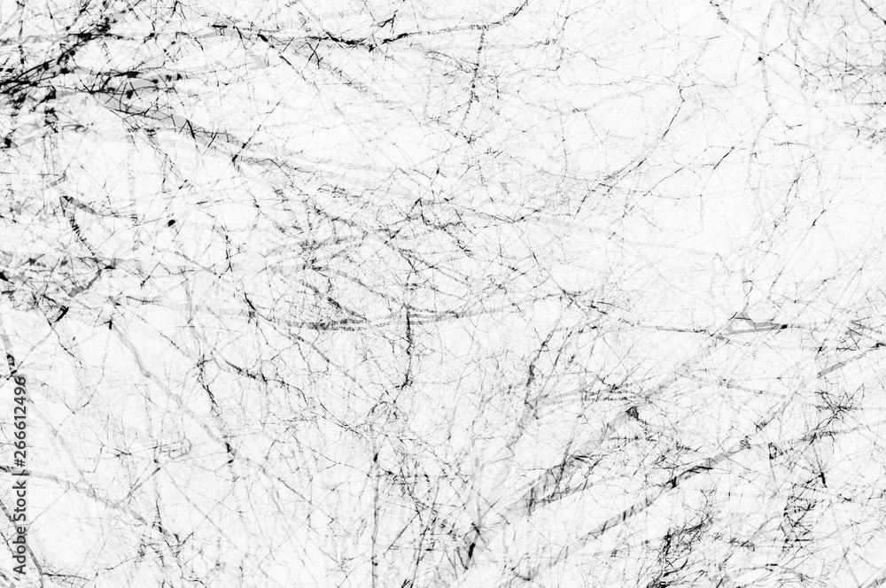 Fototapeta premium Double exposure abstraction with branches. White monochrome background.