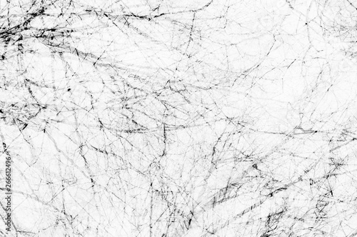 Double exposure abstraction with branches. White monochrome background.