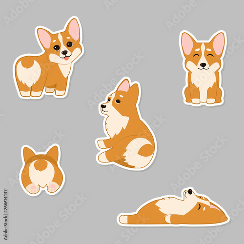 Cute puppies Welsh Corgi. Fashion patches, stickers, pins and signs isolated on gray background.