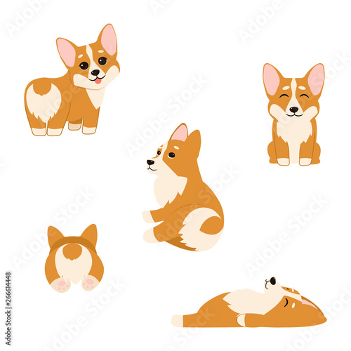 Cute corgi puppies isolated on white backgound. Vector illustration. Perfect for kid's room wall art, prints on T-shirts