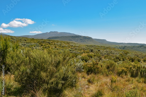 High altitude moorland against a mountain background, Chogoria Route, Mount Kenya, Kenya