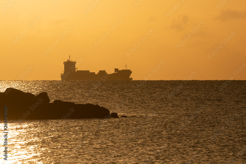 container ship with scenic coastal landscape