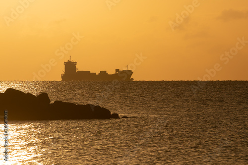 container ship with scenic coastal landscape