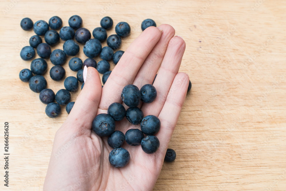 Handful of blueberries. Blueberries in the hand. Handful of blueberries. Blueberries in the hand.