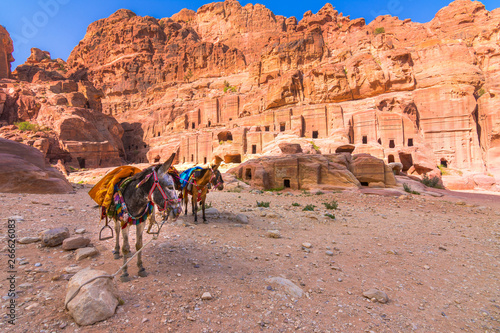Caves in sandstones, columns and ruins of the ancient Bedouin city of Petra, Jordan © gatsi