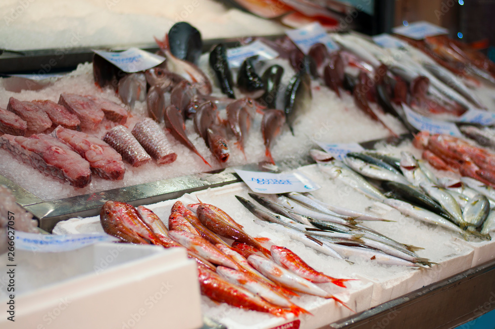 Open Air Fish Market