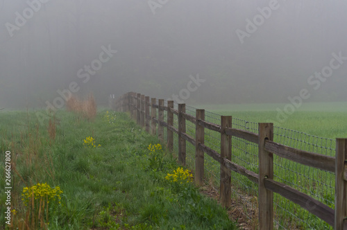 Foggy Fence 2
