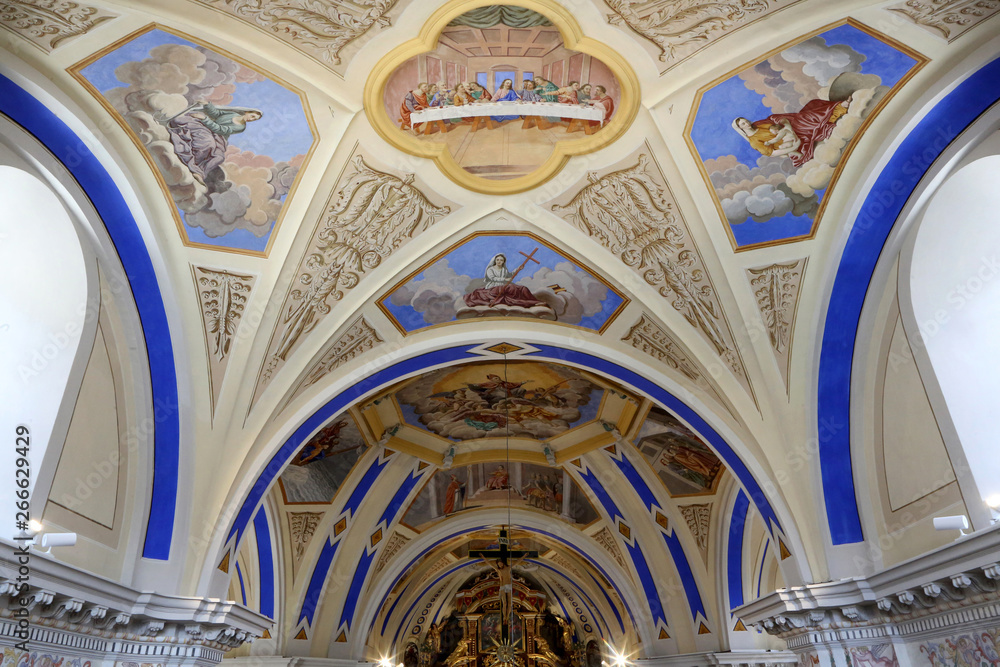 Peintures et vožtes. Eglise Saint-Nicolas de VŽroce.
