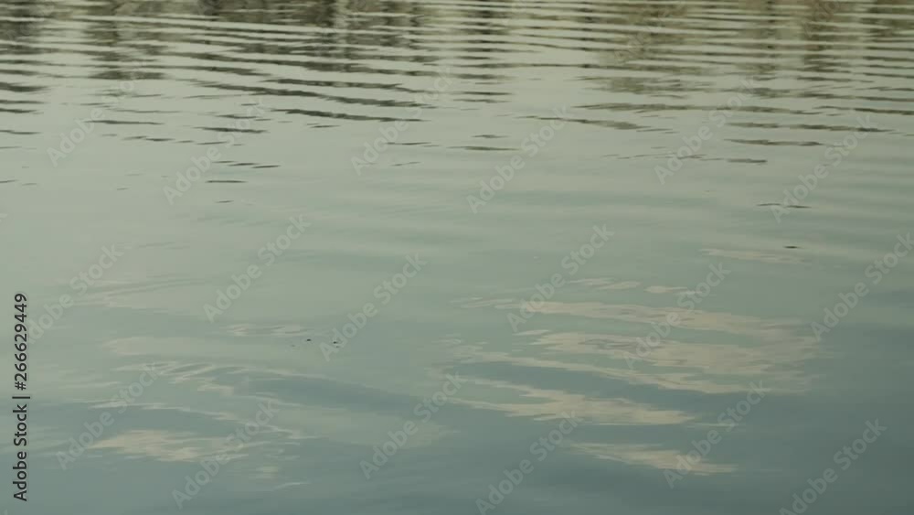 Nice water close up. Stock. Calm water on the lake on a summer day. Nice water close up. Stock. Calm water on the lake on a summer day.