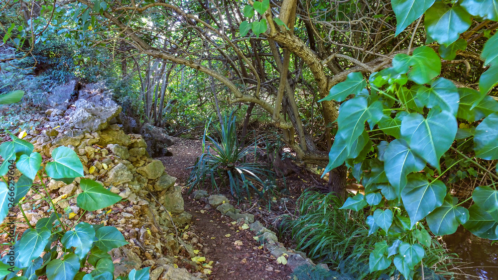 Obraz premium Kauai Trail