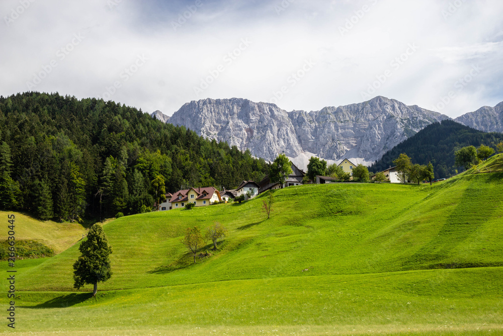 green pasture in Austria alps near border with Slovenia, Carinthia region