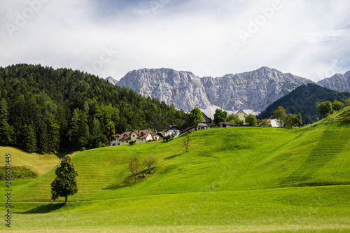 green pasture in Austria alps near border with Slovenia  Carinthia region