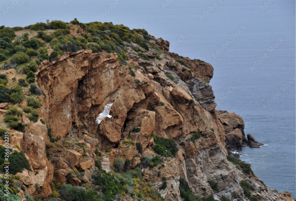 Fototapeta premium Sounion
