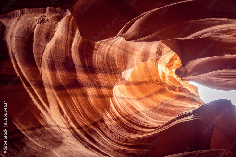 Obraz premium Beautiful Upper Antelope Canyon - travel photography