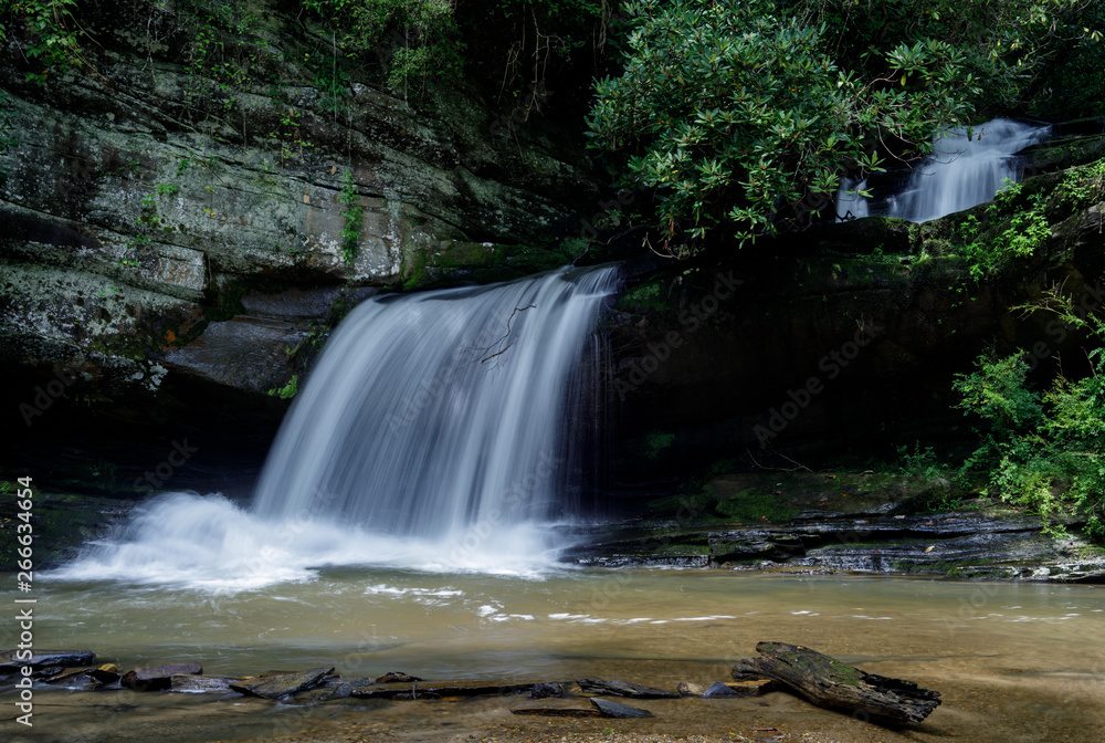 Fototapeta premium Summer at Raper Creek