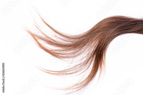 Light brown hair - White background