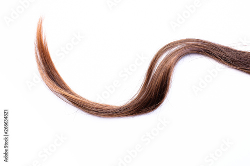 Curly light brown hair - White background
