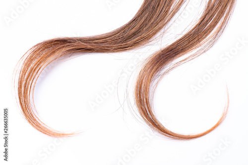 Curly light brown hair - White background