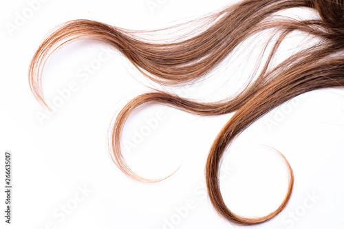 Curly light brown hair - White background