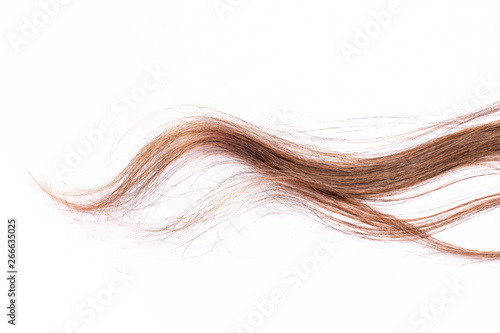Curly light brown hair - White background
