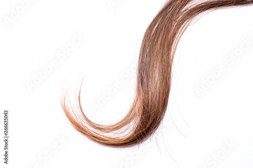 Curly light brown hair - White background