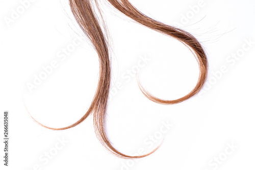 Curly light brown hair - White background