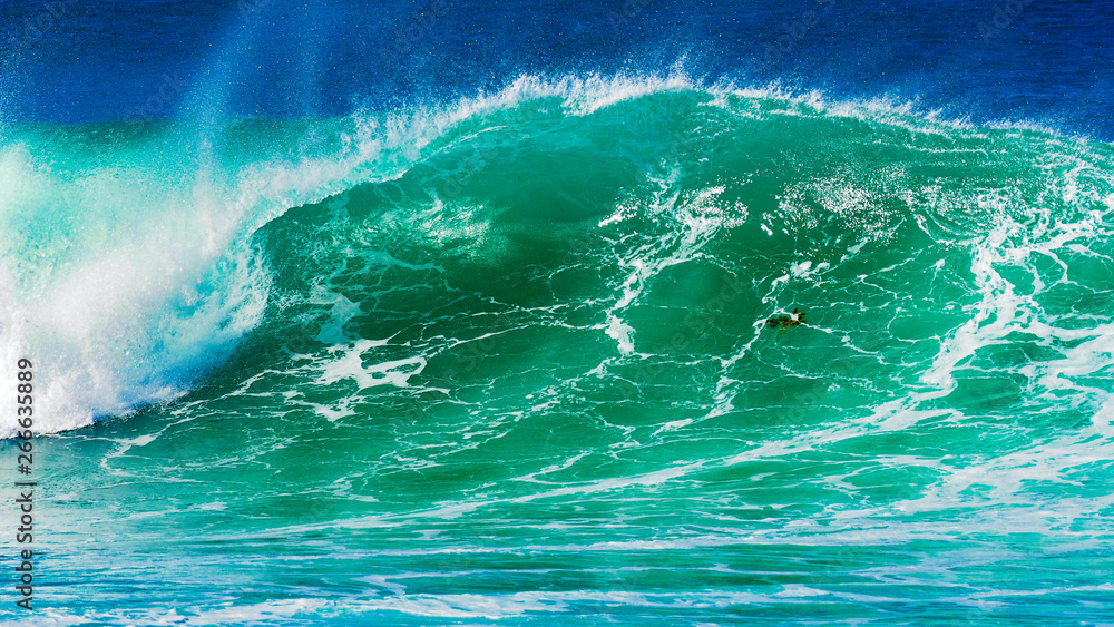 Obraz premium Australian Wave